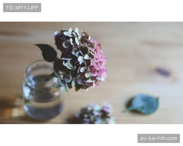 巴尔科拉是否昙花一现？持续表现力与成长潜力分析